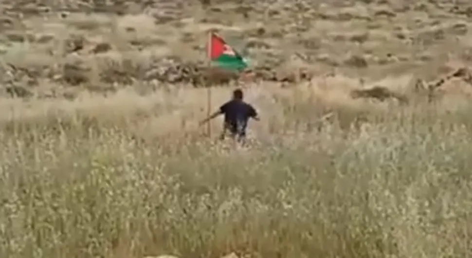 palestinska zastava.webp
